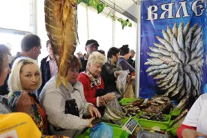 Агропромышленная выставка "Кубанская ярмарка-2014" в Краснодаре &copy;&nbsp;Михаил Ступин, ЮГА.ру