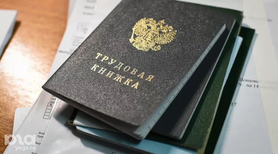 Трудовая книжка &copy;&nbsp;Фото Елены Синеок, Юга.ру