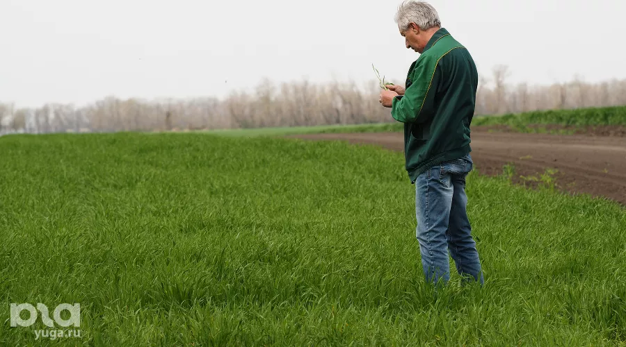  &copy;&nbsp;Фото Виталия Тимкива, Юга.ру