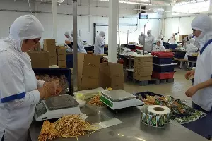 Цех по упаковке адыгейского сыра &copy;&nbsp;Фото Юга.ру