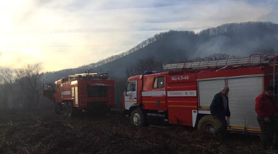 &copy;&nbsp;Фото пресс-службы администрации Сочи