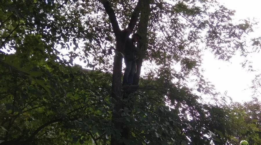  &copy;&nbsp;Фото пресс-службы ГКУ РК &laquo;Крым-СПАС&raquo;