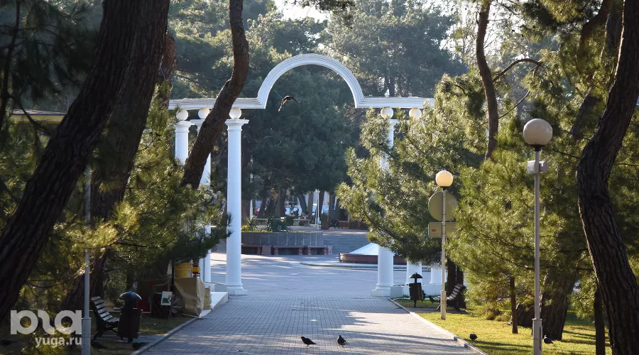  &copy;&nbsp;Фото Елены Синеок, Юга.ру