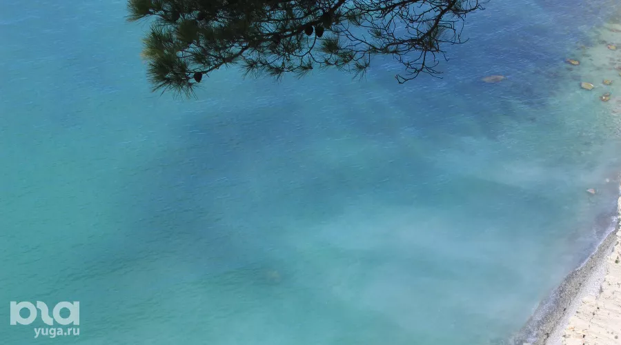  &copy;&nbsp;Фото Марины Солошко, Юга.ру