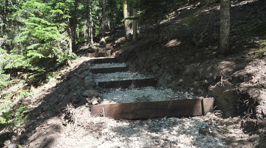  © Фото пресс-службы Кавказского биосферного заповедника