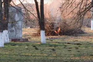  &copy;&nbsp;Скриншот видео из канала eco rupor, www.youtube.com/channel/UCG95WDFLLdVi4UHrlPhEGQw