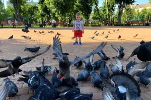  &copy;&nbsp;Фото Елены Синеок, Юга.ру