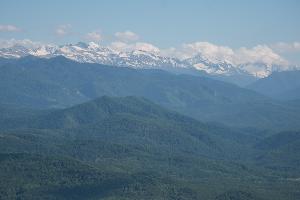  © Фото Елены Синеок, Юга.ру