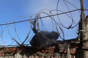  &copy;&nbsp;Фото из инстаграм-аккаунта &laquo;Кубань-СПАС&raquo;, https://www.instagram.com/kubanspas/