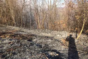  &copy;&nbsp;Фото пресс-службы администрации Сочи