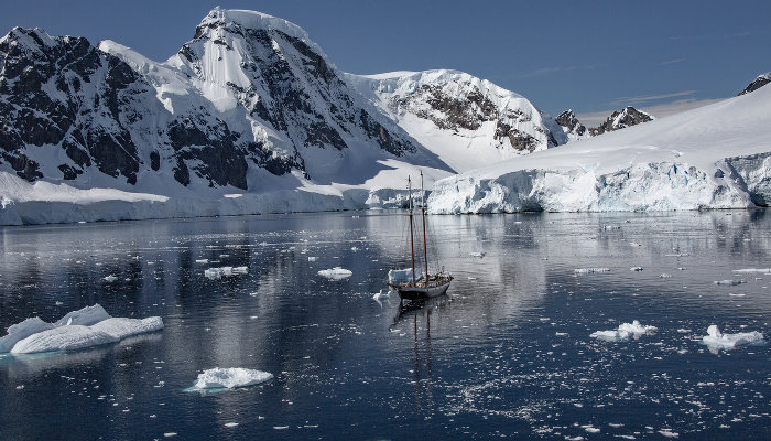 Краснодарка путешествовала по Антарктиде 18 дней за 620 тыс. рублей
