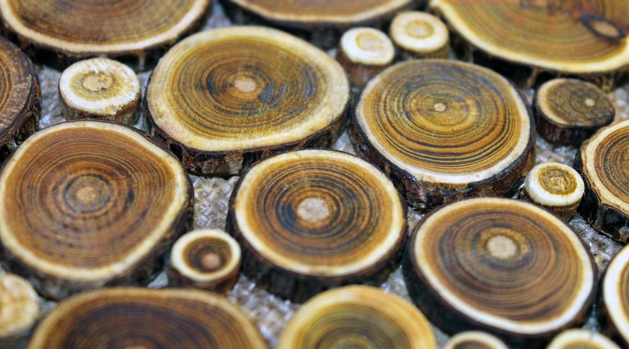  © Изображение пользователя katytylala с сайта pixabay.com