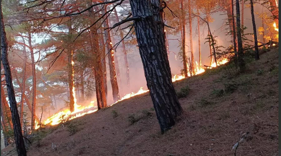  &copy;&nbsp;Скриншот фото из телеграм-канала &laquo;Оперативный штаб - Краснодарский край&raquo;