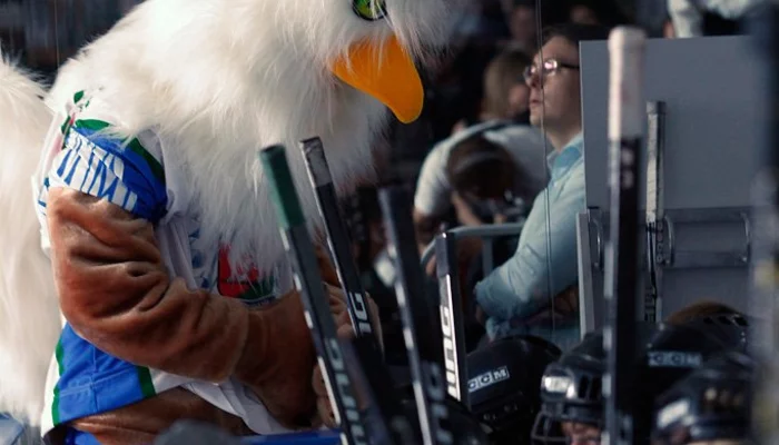 Открытие ледового дворца в Краснодаре &copy;&nbsp;Влад Александров, ЮГА.ру