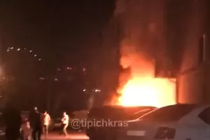  &copy;&nbsp;телеграм-канал &laquo;Телетайп Краснодара&raquo;