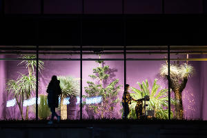 Парк «Краснодар»  с новогодней подсветкой &copy;&nbsp;Фото Елены Синеок, Юга.ру