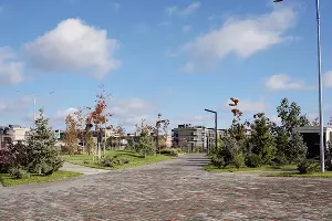 Микрорайон &laquo;Новая Елизаветка&raquo; &copy;&nbsp;Фото Дарьи Паращенко, Юга.ру