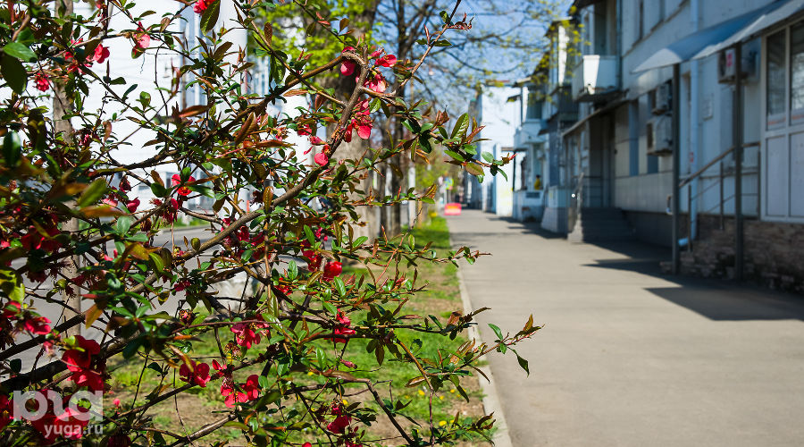 © Фото Евгения Мельченко, Юга.ру
