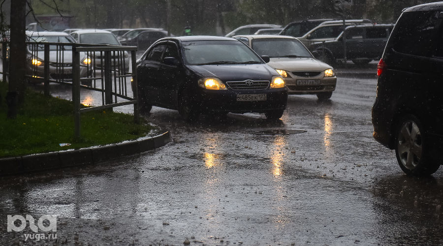  © Фото Елены Синеок, Юга.ру