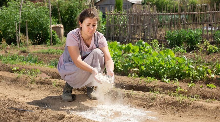 мука огород &copy;&nbsp;Изображение сгенерировано нейросетью Gigachat