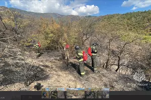 Тушение пожара в Геленджике &copy;&nbsp;скриншот публикации в телеграм канале МЧС России https://t.me/mchs_official/10957