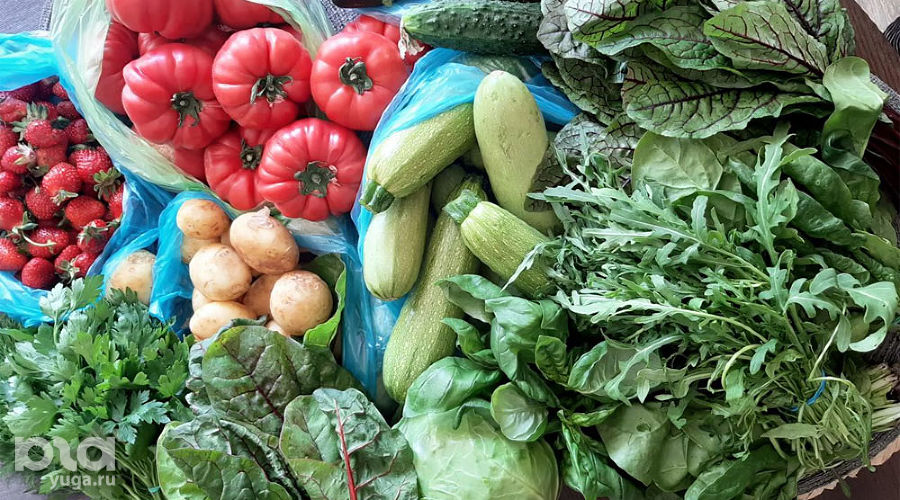 Овощи, ягоды и зелень © Фото Анны Петровой, Юга.ру