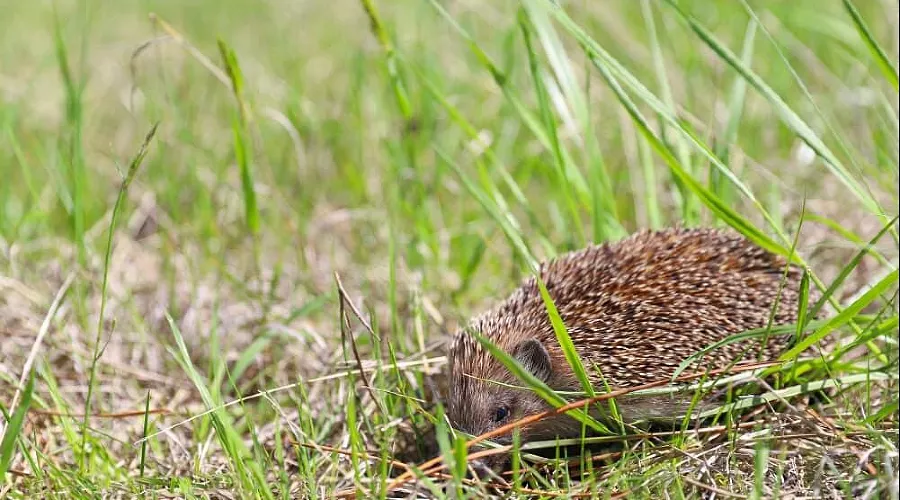  &copy;&nbsp;Фото пресс-службы МУП Сочи &laquo;Водоканал&raquo;