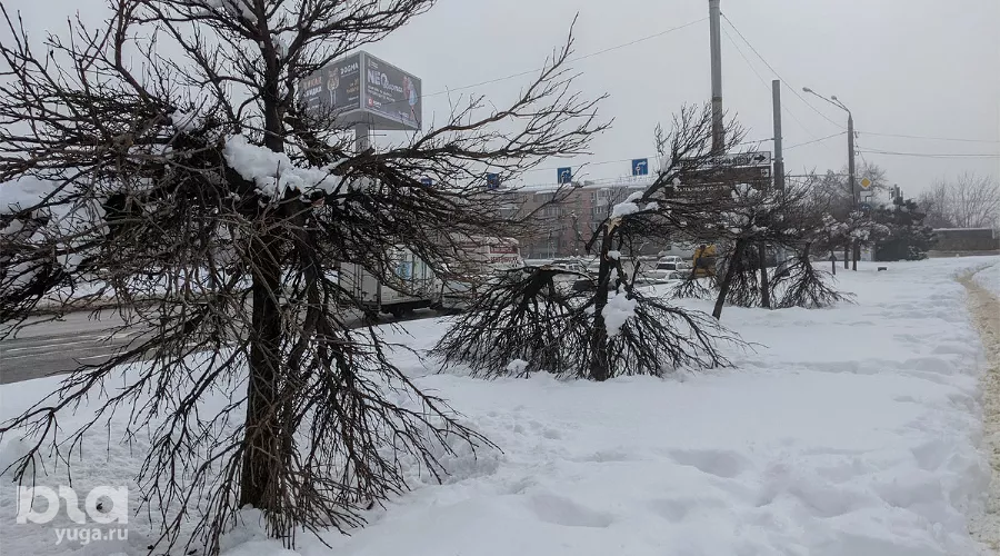 Зима в Краснодаре &copy;&nbsp;Фото Александры Прохоренковой-Аксеновой, Юга.ру
