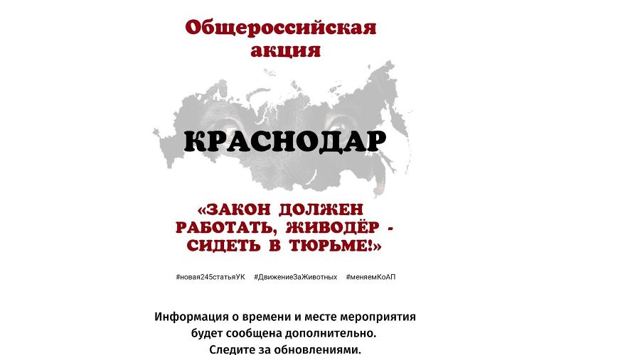 © Фото со страницы «ВКонтакте» «КРАСНОДАР. Акция "Закон должен работать!"», https://vk.com/event46698996
