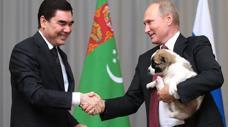 Президент Туркмении подарил Путину щенка алабая по кличке Верный &copy;&nbsp;Фото пресс-службы Кремля