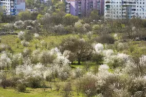  &copy;&nbsp;Фото Союза фотохудожников Адыгеи