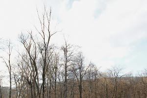 "Музей снежного человека" в Адыгее &copy;&nbsp;Влад Александров, ЮГА.ру