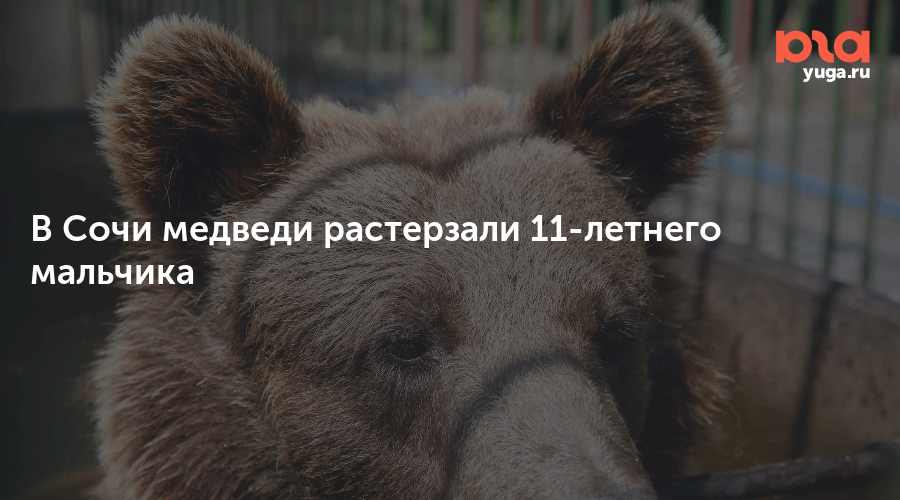 https://www.yuga.ru/media/db/d1/f0/zoo_vladikavkaz_b12__uhxqzp8.png