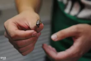  &copy;&nbsp;Фото Елены Синеок, Юга.ру