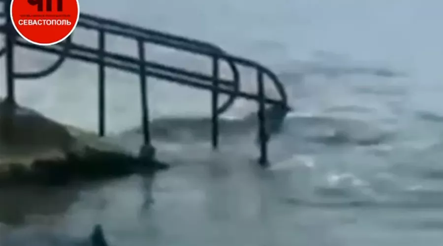 Две выброшенных из дельфинария Flipper афалины, которых удалось спасти &copy;&nbsp;Скриншот видео телеграм-канала &laquo;ЧП Севастополь&raquo;, t.me/chp_sevastopol