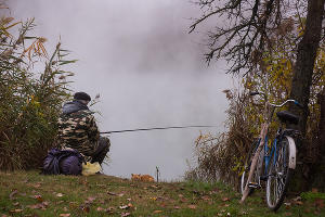 Туман в парке «Солнечный остров» © Фото Елены Синеок, Юга.ру