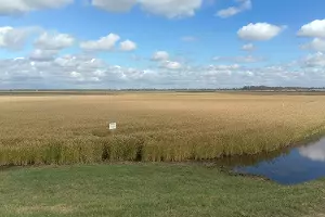  &copy;&nbsp;Фото Ярославы Гуляевой, Юга.ру