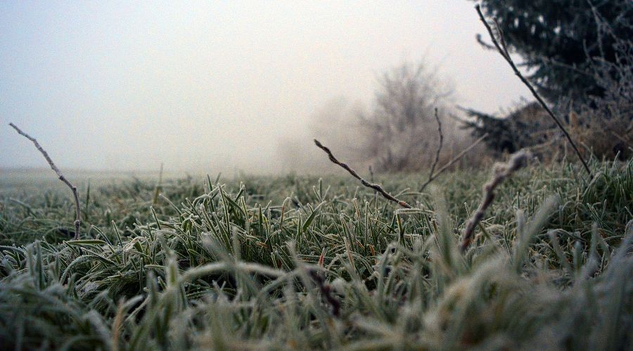  © Фото grabmate с сайта pixabay.com