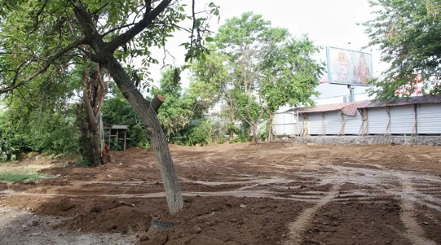  &copy;&nbsp;Фото пресс-службы администрации Краснодара