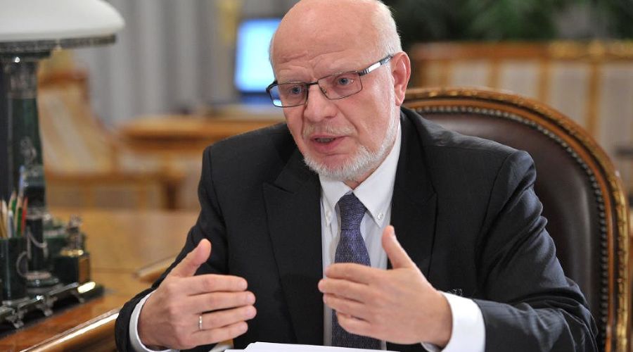 Михаил Федотов © Фото пресс-службы СПЧ