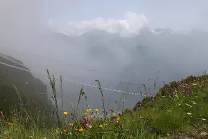  &copy;&nbsp;Фото Марины Солошко, Юга.ру