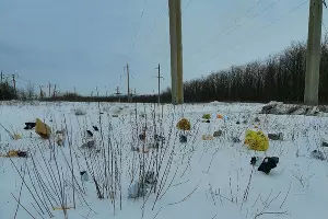  &copy;&nbsp;Фото со страницы vk.com/elec_online