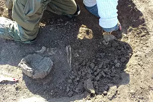  &copy;&nbsp;Фото предоставлено Дмитрием Крюковым