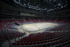 ХК "Сочи" презентовал новый логотип &copy;&nbsp;Нина Зотина, ЮГА.ру