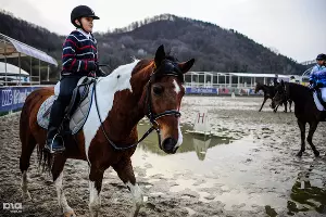 Открытое первенство Сочи по конному спорту &copy;&nbsp;ЮГА.ру, Нина Зотина