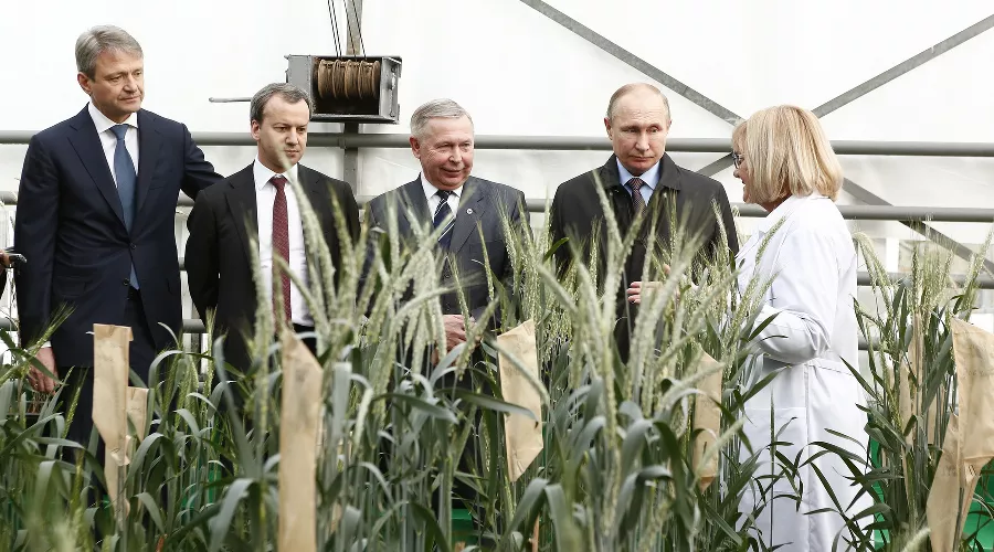 Владимир Путин на Всероссийском форуме сельхозпроизводителей &copy;&nbsp;Фото Юга.ру