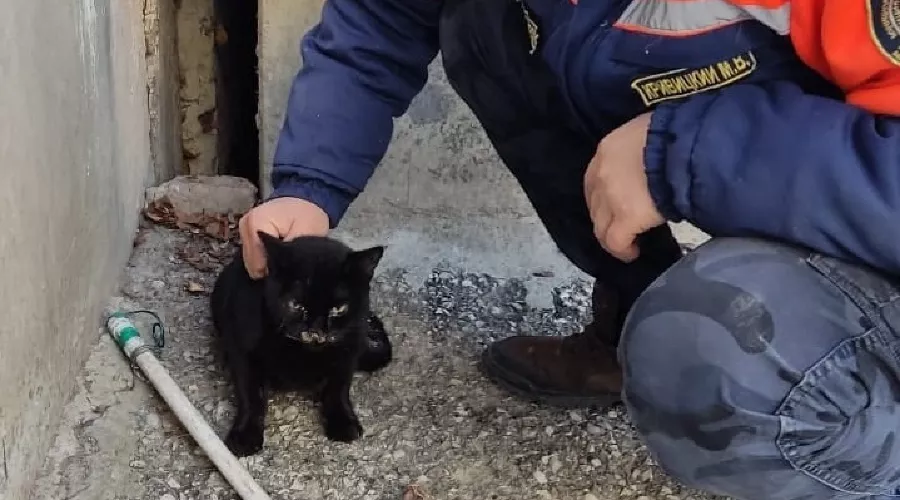  &copy;&nbsp;Фото из инстаграма Алексея Одерова instagram.com/alekseioderov