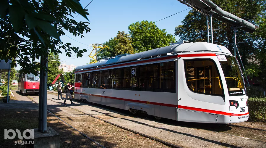  &copy;&nbsp;Фото Елены Синеок, Юга.ру