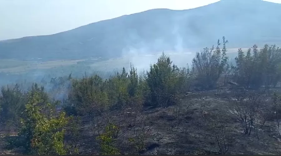  &copy;&nbsp;Кадр из видео краевого лесопожарного центра