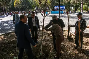 Парк имени Ивана Семыкина в станице Тбилисской &copy;&nbsp;Фото Евгения Мельченко, Юга.ру